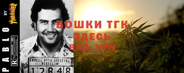 мдпв Богородицк