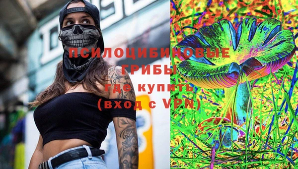 гашик Богданович