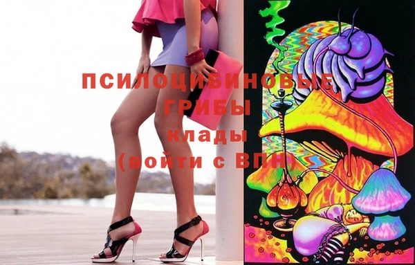гашик Богданович