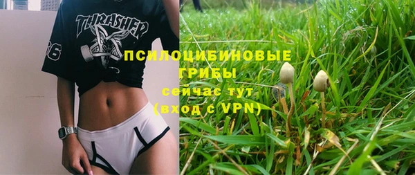 мдпв Богородицк