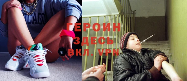 мдпв Богородицк