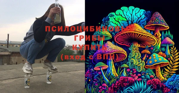 гашик Богданович