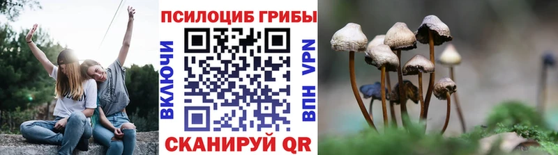 Галлюциногенные грибы прущие грибы  Павловская 