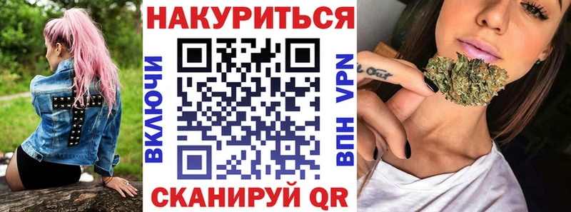 Конопля гибрид  Павловская 